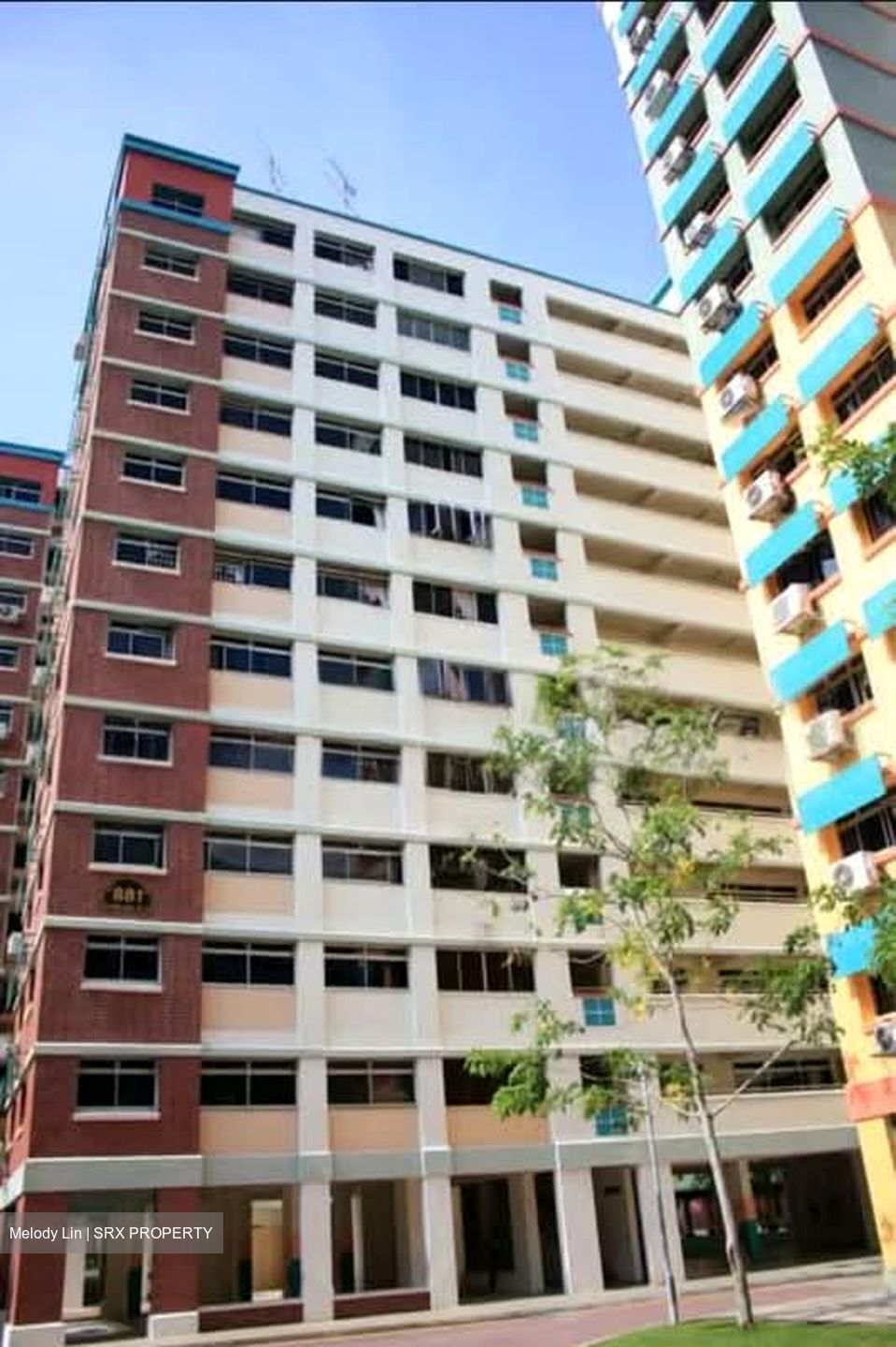 Blk 881 Woodlands Street 82 (Woodlands), HDB 4 Rooms #595163181